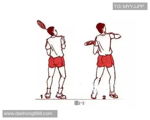 从零起步掌握羽毛球技巧与状态提升全攻略MBA