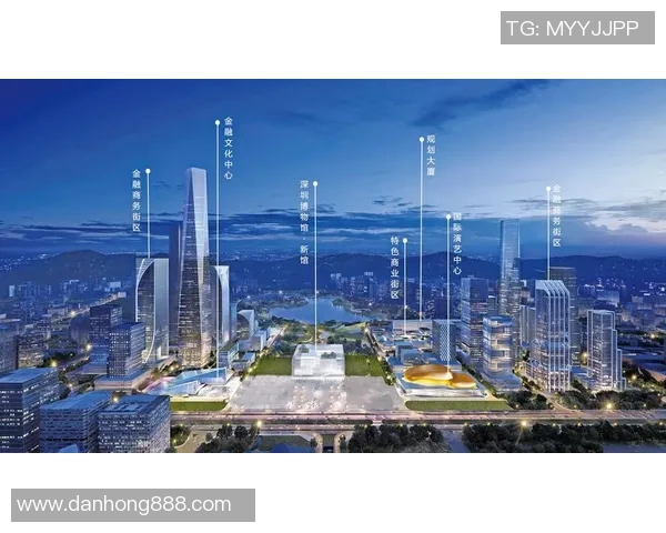 深圳篮球队的崛起与挑战聚焦球队力量与未来发展之路