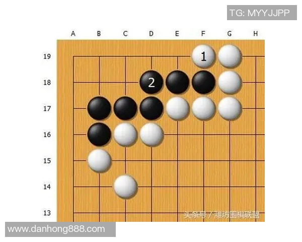 乒乓球战术解析:深入探讨上海乒乓球队的包夹体系与实战应用